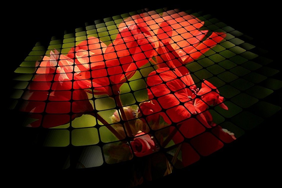 clipart of Three d grid with the geraniums