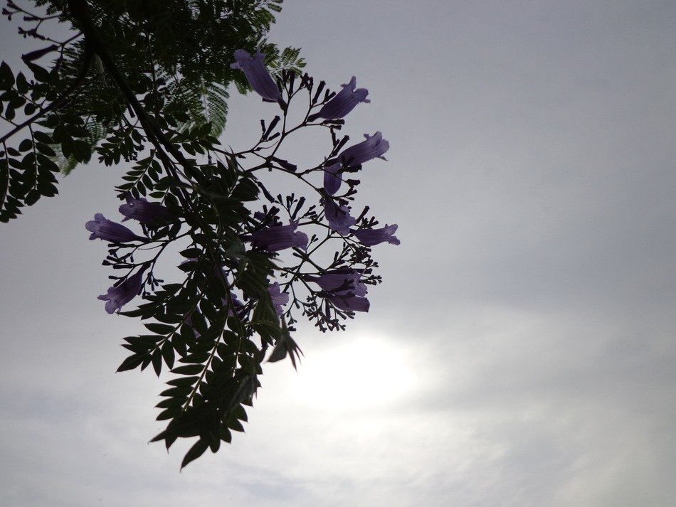 sunlight in the grey sky