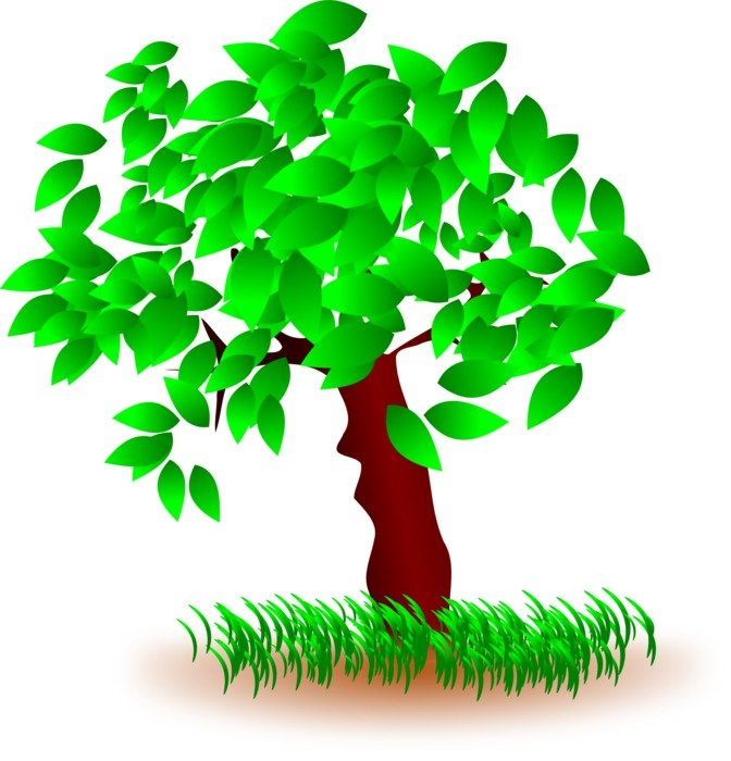 picture of wood with green leaves on it