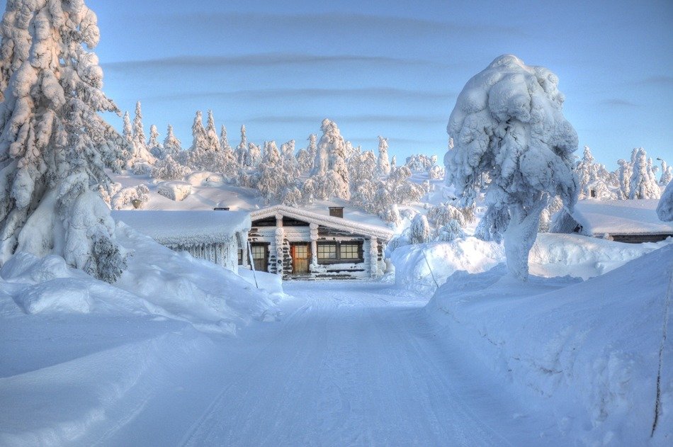 path to the hut in the snowy woods