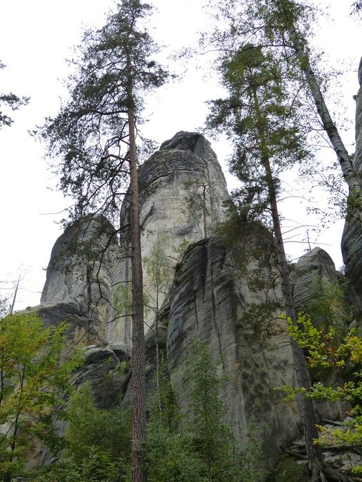 rock formations among trees