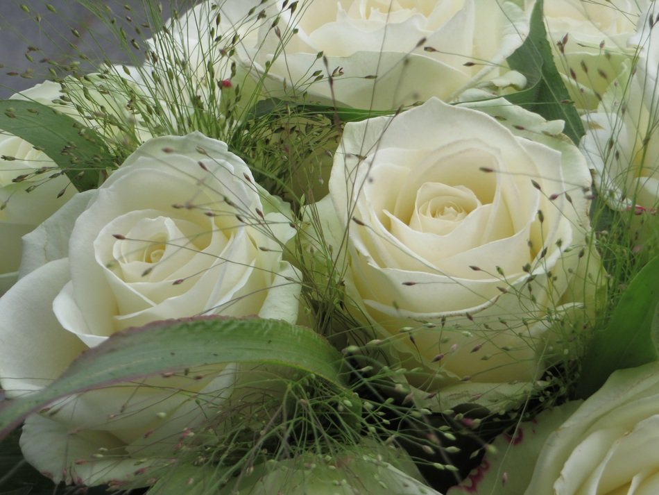 bouquet of gorgeous white roses, top view