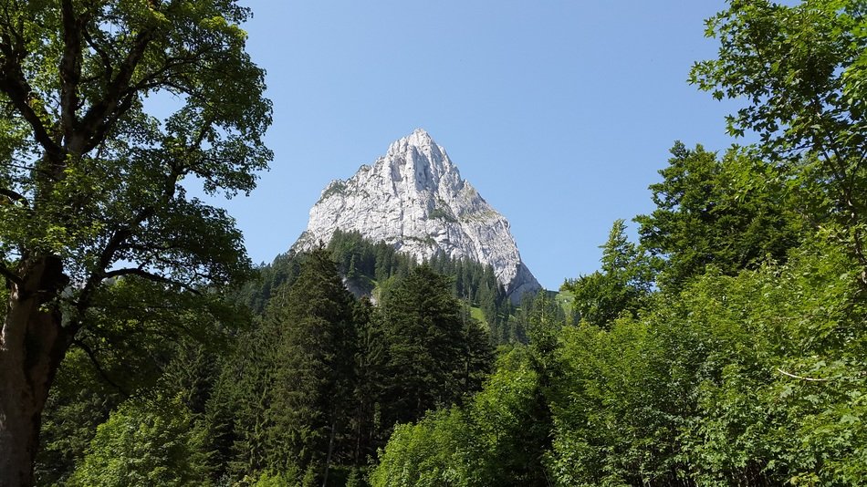 The northern wall in the alps among the trees