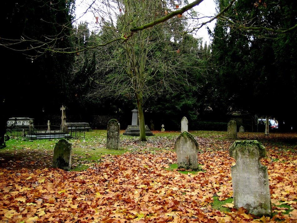 cemetery with yellow leaves and gravestones