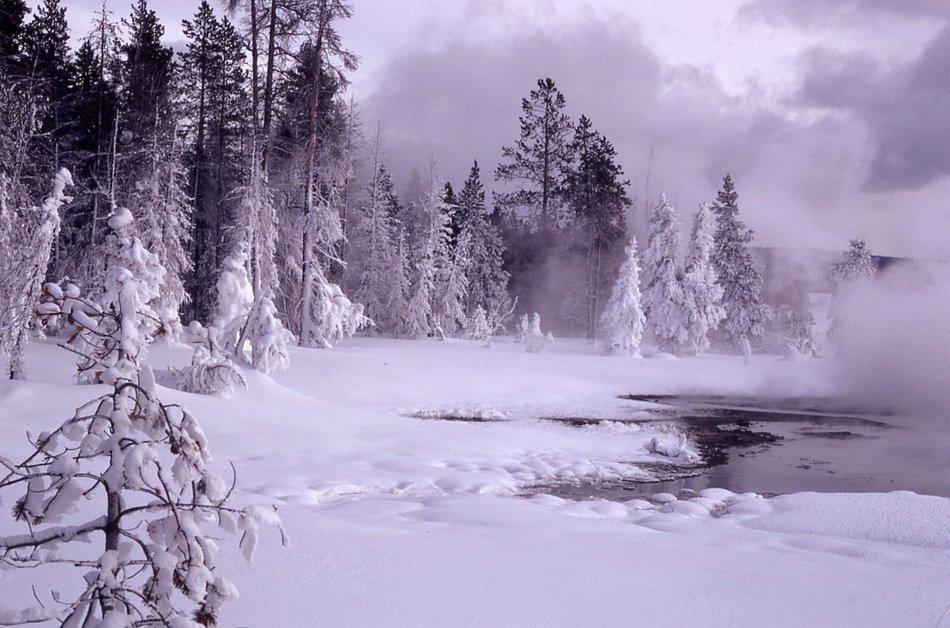 winter cold landscapeс