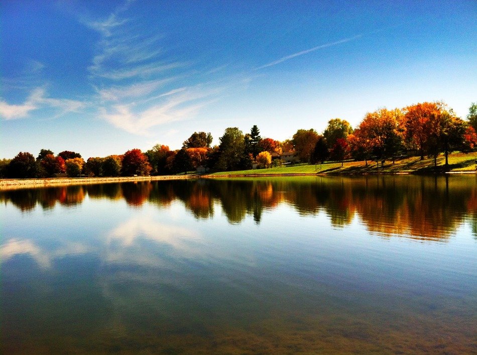 Reflection in the pond in autumn