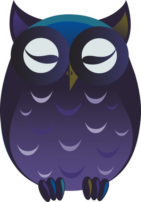 owl purple cartoon drawing