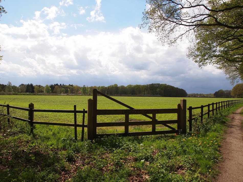 landscape pasture fence grass