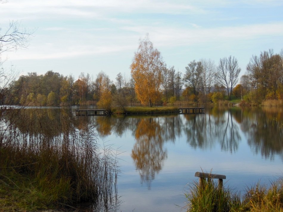 lake with trees on the shore