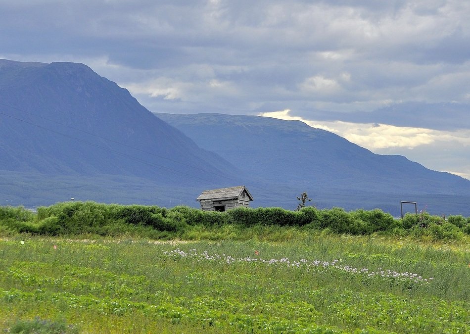 beautiful and delightful alaska