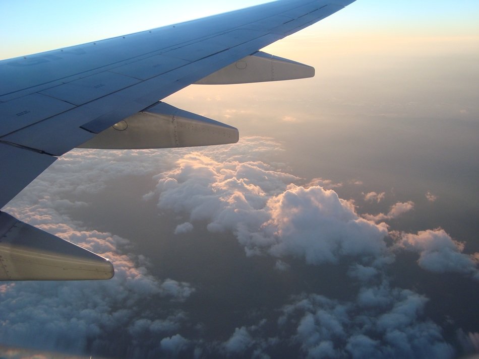 Landscape with the wing of the plane