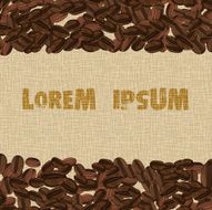 Colorful background made of coffee beans with place for text