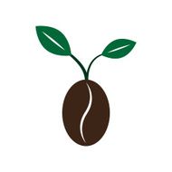 Coffee new born growing bean seed plant vector illustration