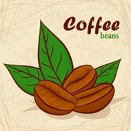 coffee beans N36