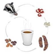 Hot Disposable Cup with Civet Coffee Beans