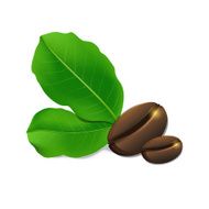 coffee beans N40