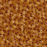 Vector background with coffee beans Coffee seamless pattern