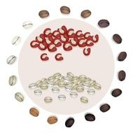 Dry Berries and Roasted Coffee Beans