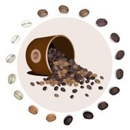 Various Kind of Coffee Beans Dropped from A Bucket