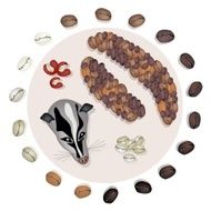 Different Roasted Coffee Bean with Civet Cat