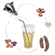 Sweet Iced Coffee with Civet Beans