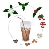 The Process of A Delicious Iced Coffee