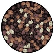 Different Colors of Coffee Beans Forming in Circle Shape