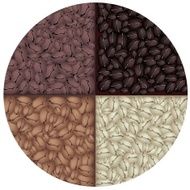 Four Colors of Roasted Coffee in Circle Background