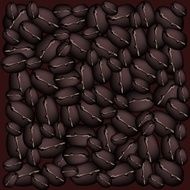 Macro Shot of Dark Roasted Coffee Beans Background