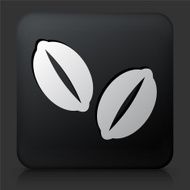 Black Square Button with Coffee Beans
