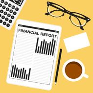 Financial report N11