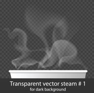 Vector transparent white steam over cup on dark background