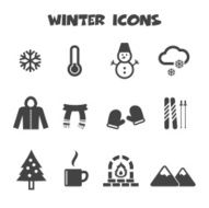 Winter Icons N5