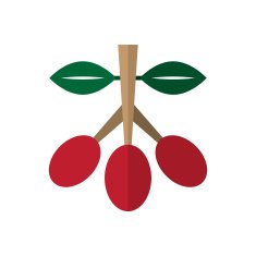 Coffee tree branch with red beans vector illustration