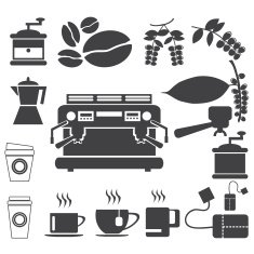 coffee info graphic