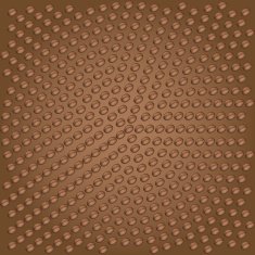 coffee bean vector background N2