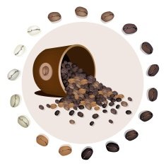 Various Kind of Coffee Beans Dropped from A Bucket