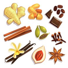 Set of Gourmet Coffee Spices Vector illustration eps10