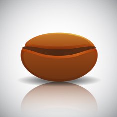 Roasted coffee bean with reflection