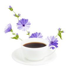 cup of coffee N298