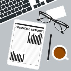 Financial report N13
