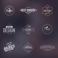 Trendy Retro Vintage badges