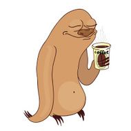 morning sloth
