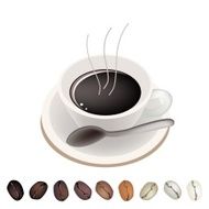 Row of Differrent Coffee Beans Under Cup