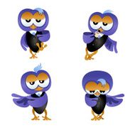 Owl businessman poses