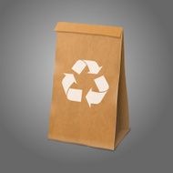 Blank craft vector realistic paper packaging bag with recycle sign N2