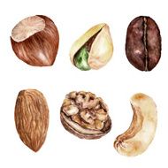 Set with nuts