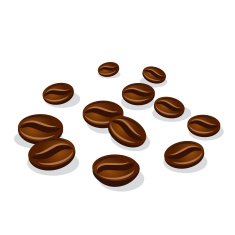 coffee beans N47