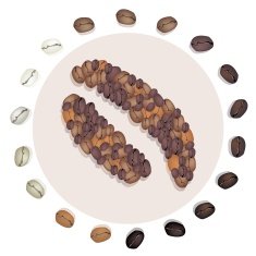 Different Roasted Coffee Bean with Civet