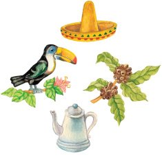 Toucan sitting on a branch sombrero coffee beans coffeepot